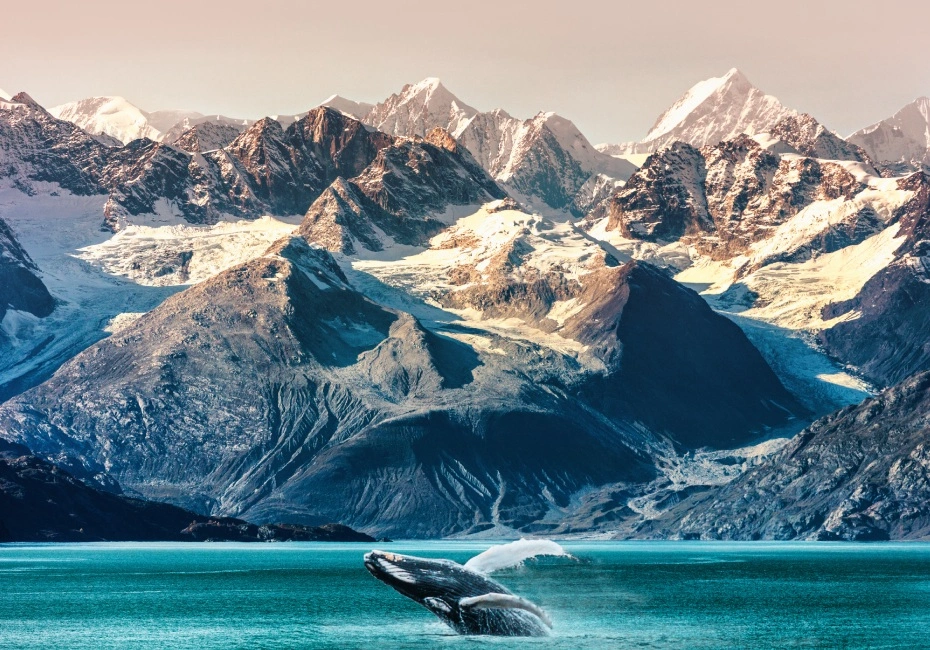 destination-glacier-bay-national-park