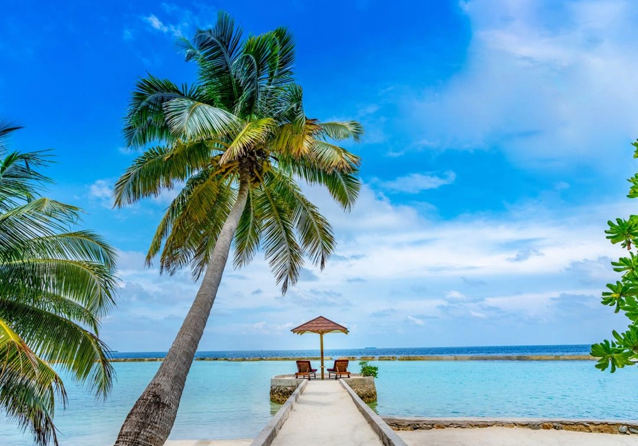 hotel-ellaidhoo-maldives-by-cinnamon-beach-dining