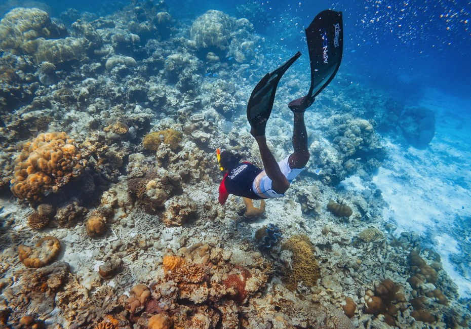 hotel-ellaidhoo-maldives-by-cinnamon-sea-diving