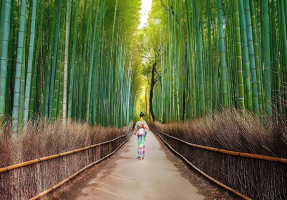 destination-arashiyama-bamboo-grove