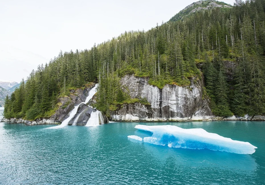 destination-tracy-arm-fjord-2